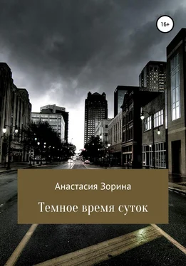 Анастасия Зорина Темное время суток обложка книги
