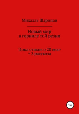 Михаэль Шарипов Новый мир в горниле той резни обложка книги