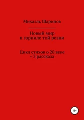 Михаэль Шарипов - Новый мир в горниле той резни