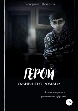 Катерина Шевцова Герой ожившего романа обложка книги