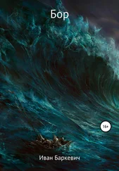 Иван Баркевич - Бор