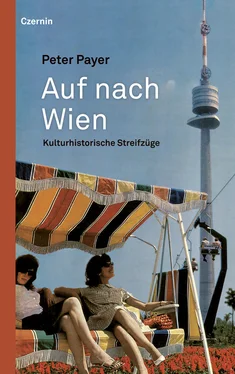 Peter Payer Auf nach Wien обложка книги