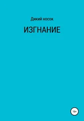Дикий Носок - Изгнание