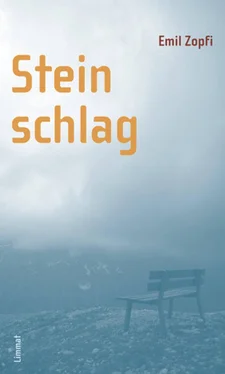 Emil Zopfi Steinschlag обложка книги