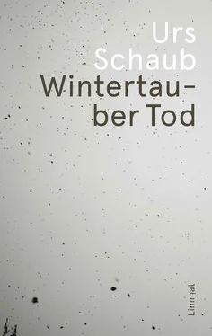 Urs Schaub Wintertauber Tod обложка книги