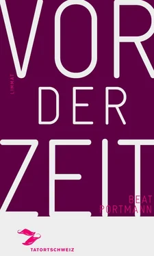 Beat Portmann Vor der Zeit обложка книги