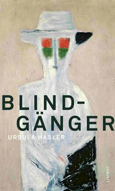 Ursula Hasler Blindgänger обложка книги