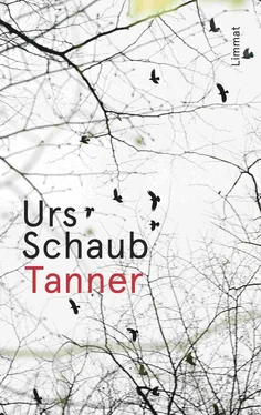 Urs Schaub Tanner обложка книги