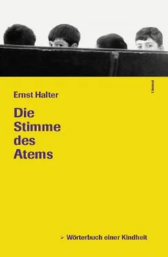 Ernst Halter Die Stimme des Atems обложка книги