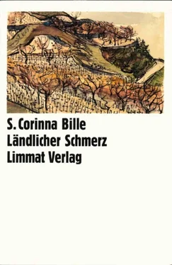S. Corinna Bille Ländlicher Schmerz обложка книги
