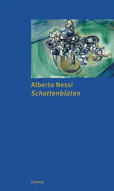 Alberto Nessi Schattenblüten обложка книги