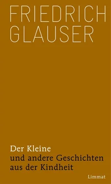 Friedrich Glauser Der Kleine обложка книги