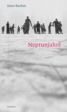 Anna Ruchat Neptunjahre обложка книги