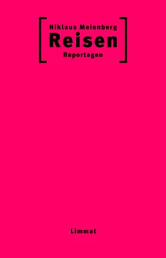 Niklaus Meienberg Reisen обложка книги