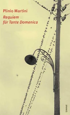 Plinio Martini Requiem für Tante Domenica обложка книги