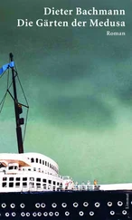 Dieter Bachmann - Die Gärten der Medusa