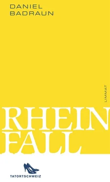 Daniel Badraun Rheinfall обложка книги