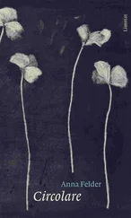 Anna Felder - Circolare