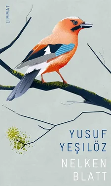 Yusuf Yesilöz Nelkenblatt обложка книги