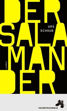 Urs Schaub Der Salamander обложка книги