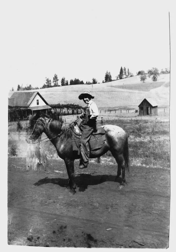 Giovanni Battista Rusconi jr auf der Ranch von James Campini in Placerville - фото 10