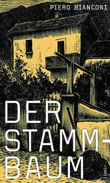 Piero Bianconi Der Stammbaum обложка книги
