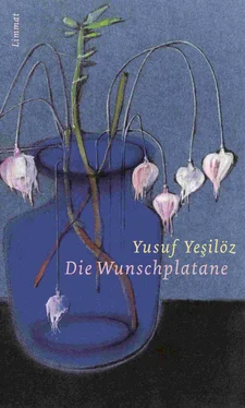 Yusuf Yesilöz Die Wunschplatane обложка книги