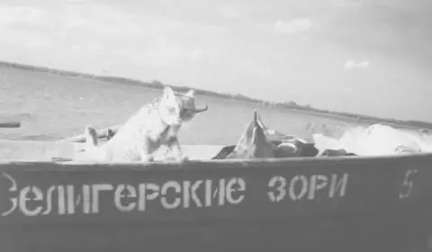 Шмотки просто сложили на дно на вёсла посадили мужиков Любопытный кот залез в - фото 32