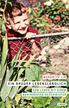 Margrith Lin Ein Bruder lebenslänglich обложка книги