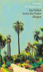 Usama Al Shahmani - Im Fallen lernt die Feder fliegen