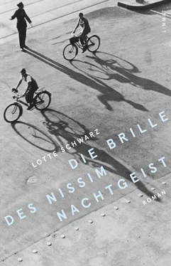 Lotte Schwarz Die Brille des Nissim Nachtgeist обложка книги
