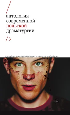 Коллектив авторов Антология современной польской драматургии 3 обложка книги