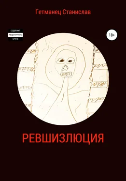 Станислав Гетманец Ревшизлюция обложка книги