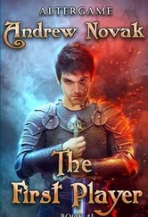 Андрей Новак - Первый игрок