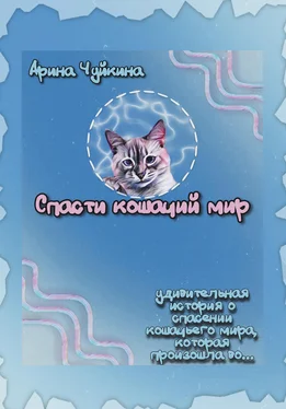 Арина Чуйкина Спасти кошачий мир обложка книги