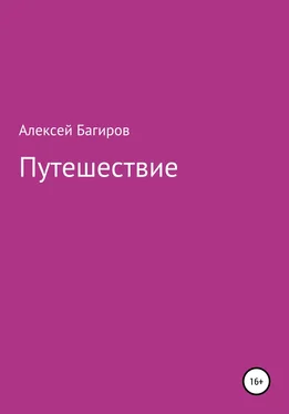 Алексей Багиров Путешествие обложка книги