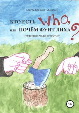 Сергей Кравцов Кто есть who, или Почем фунт лиха? обложка книги