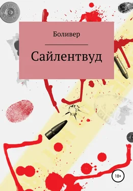 Боливер Сайлентвуд обложка книги