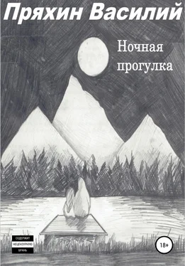 Василий Пряхин Ночная прогулка обложка книги