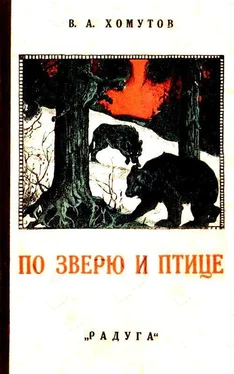 В. Хомутов По зверю и птице. Рассказы обложка книги