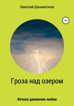 Николай Шахмагонов Гроза над озером обложка книги