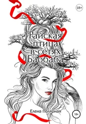 Елена Полярная - Райская птица в сетях Баобаба