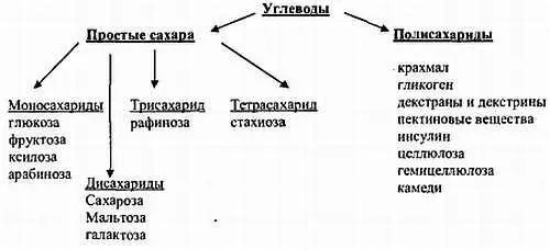 С точки зрения усвояемости в организме человека углеводы делятся на усвояемые и - фото 70