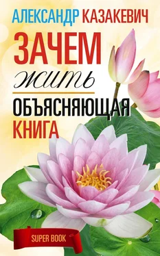 Александр Казакевич Зачем жить. Объясняющая книга обложка книги