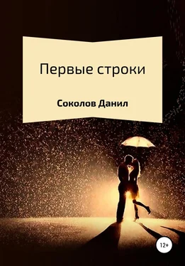 Данил Соколов Первые строки. Сборник стихотворений обложка книги