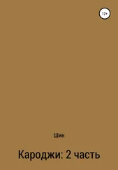 Александр Шин - Кароджи. 2 часть