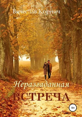 Вячеслав Корнич Неразгаданная встреча обложка книги