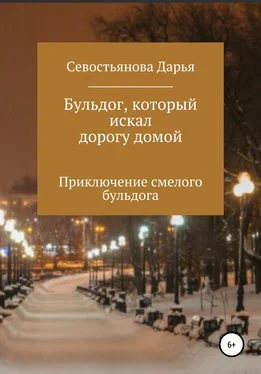 Дарья Севостьянова Бульдог, который искал дорогу домой обложка книги