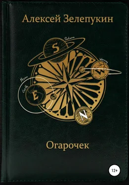 Алексей Зелепукин Огарочек обложка книги