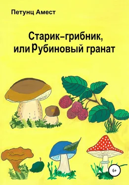 Амест Петунц Старик-грибник, или Рубиновый гранат обложка книги